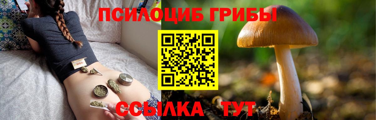 купить   Вход с VPN  Галлюциногенные грибы ЛСД  Можга  Псилоцибиновые грибы GOLDEN TEACHER 